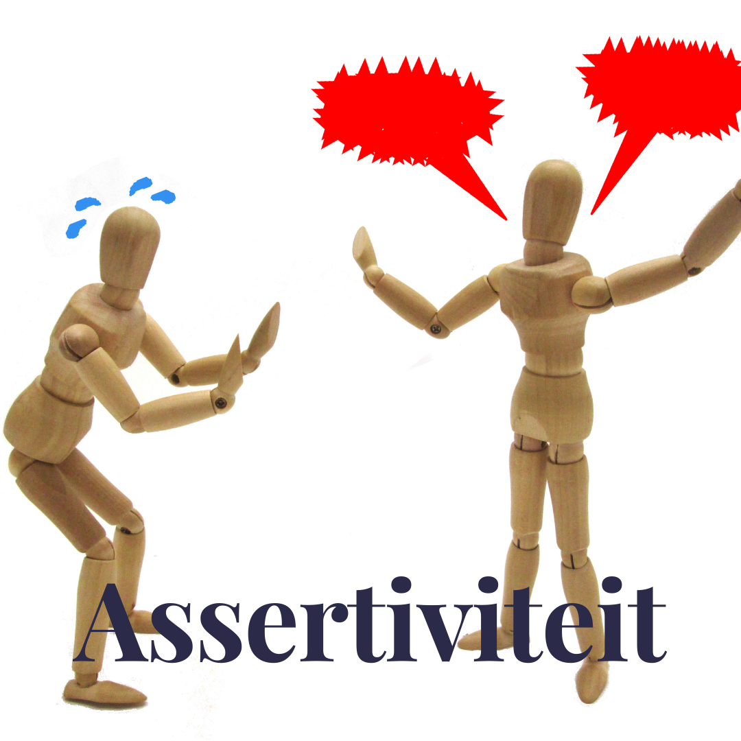 assertiviteit-de-schakel